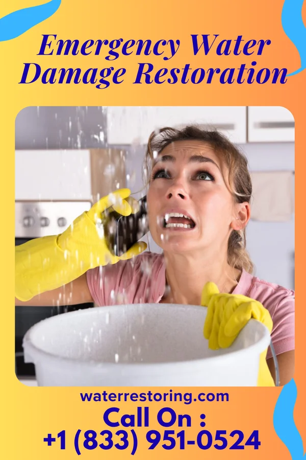 Emergency Water Damage Restoration in Central City, IL