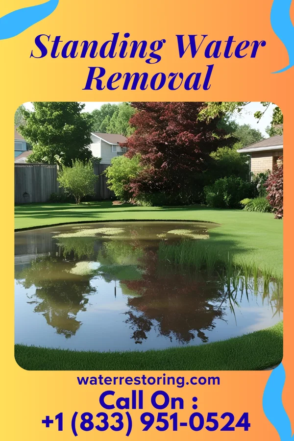 Standing Water Removal in Central City, IL